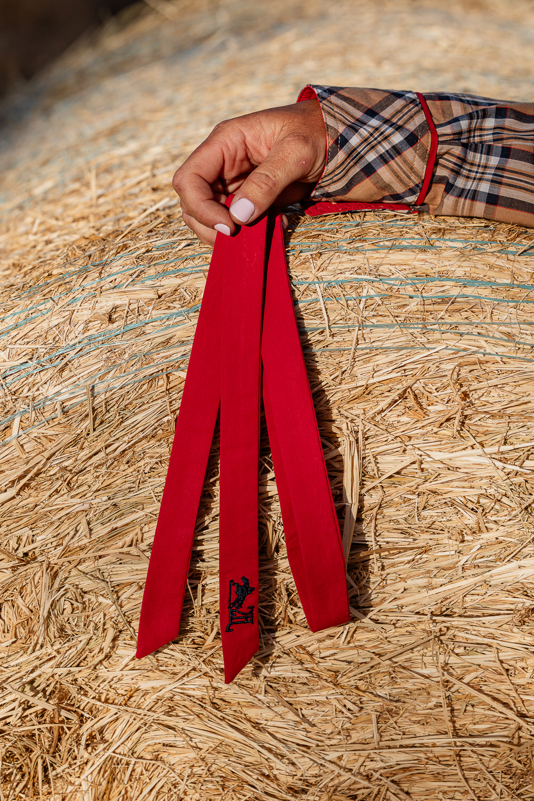 Cowgirl Necktie - Rogue Red